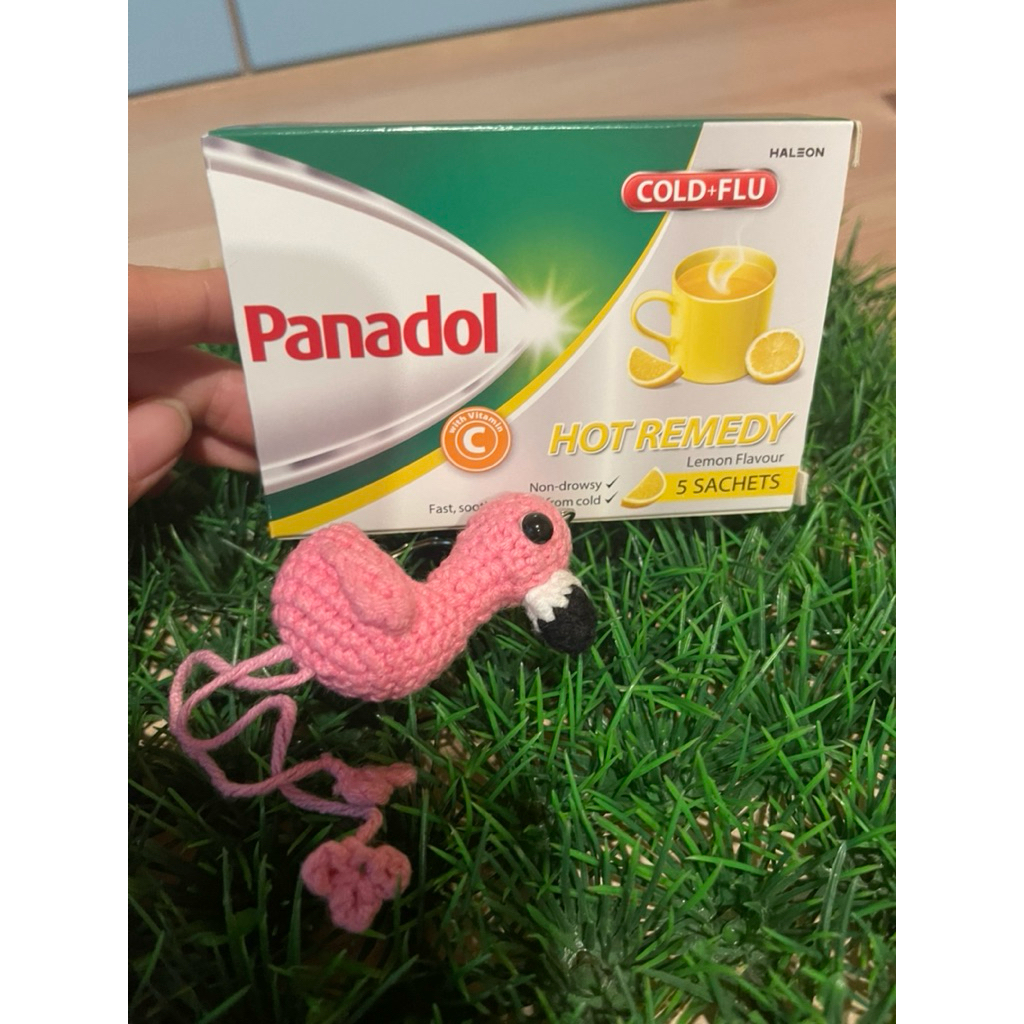 Panadol Hot Remedy isi 5 sachets Singapore