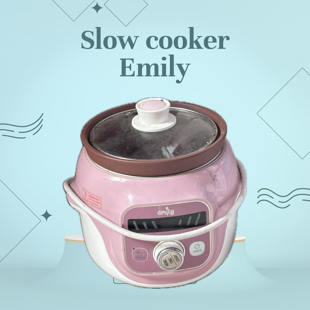 emily slow cooker
