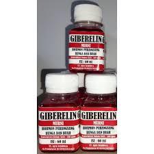 ZPT Giberelin 60 ml - Murni 500 ppm, Merangsang Pembungaan & Pembuahan Tanaman