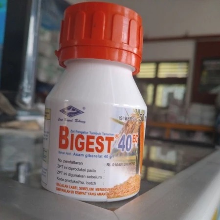 Bigest 40 EC 50ml, 100ml - ZPT Pertumbuhan Tanaman - Penyubur Tanaman