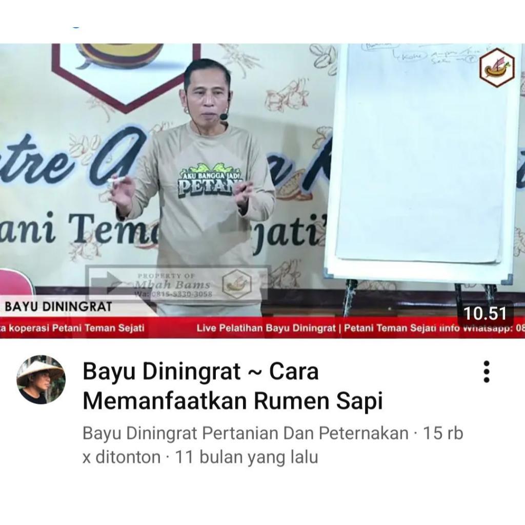 Ilmu Pak Bayu Diningrat ~ PENGOLAHAN RUMEN SAPI