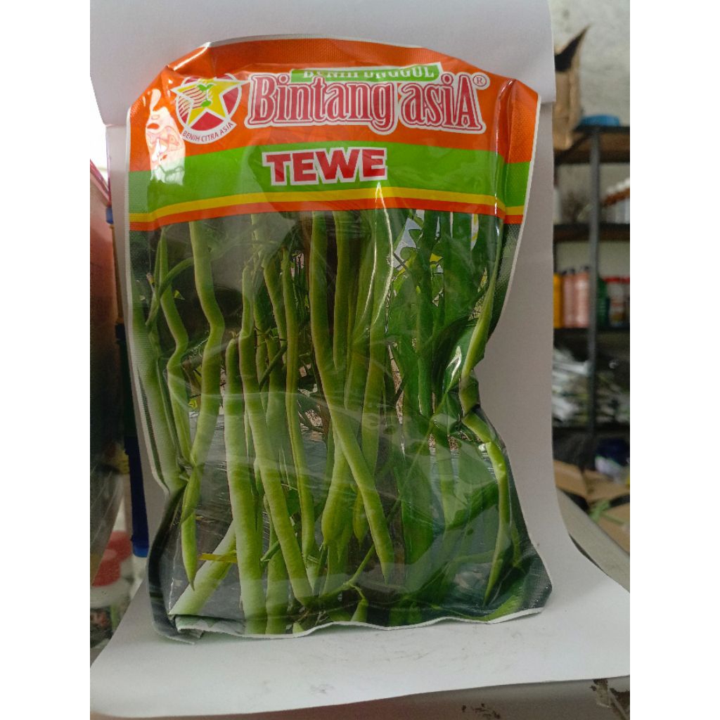 bibit buncis tewe