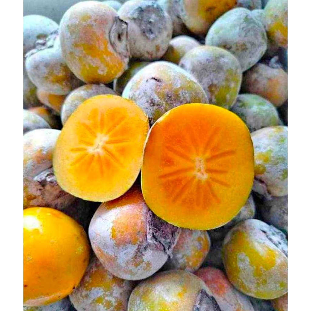 BUAH KESEMEK 1 KG