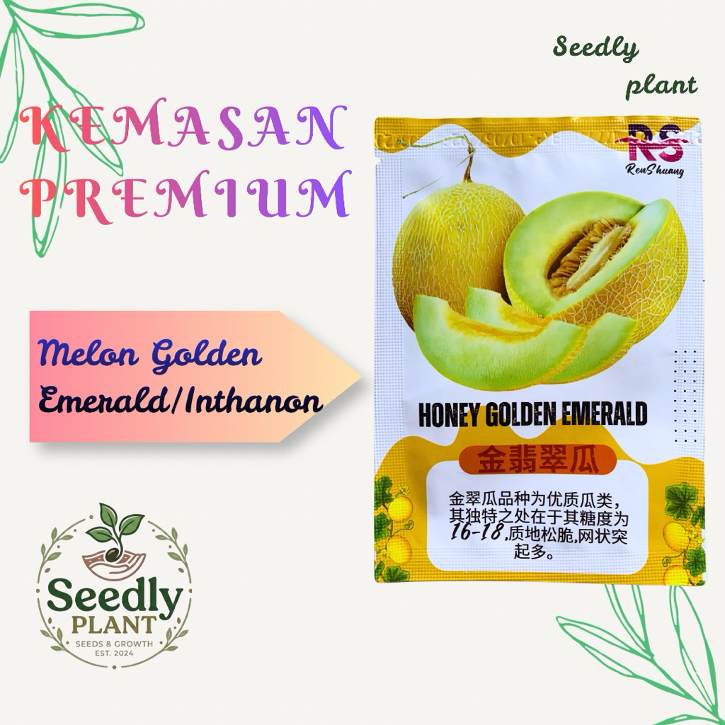 Seedly plant - (Kemasan Premium) Benih Melon Golden Emerald/Inthanon