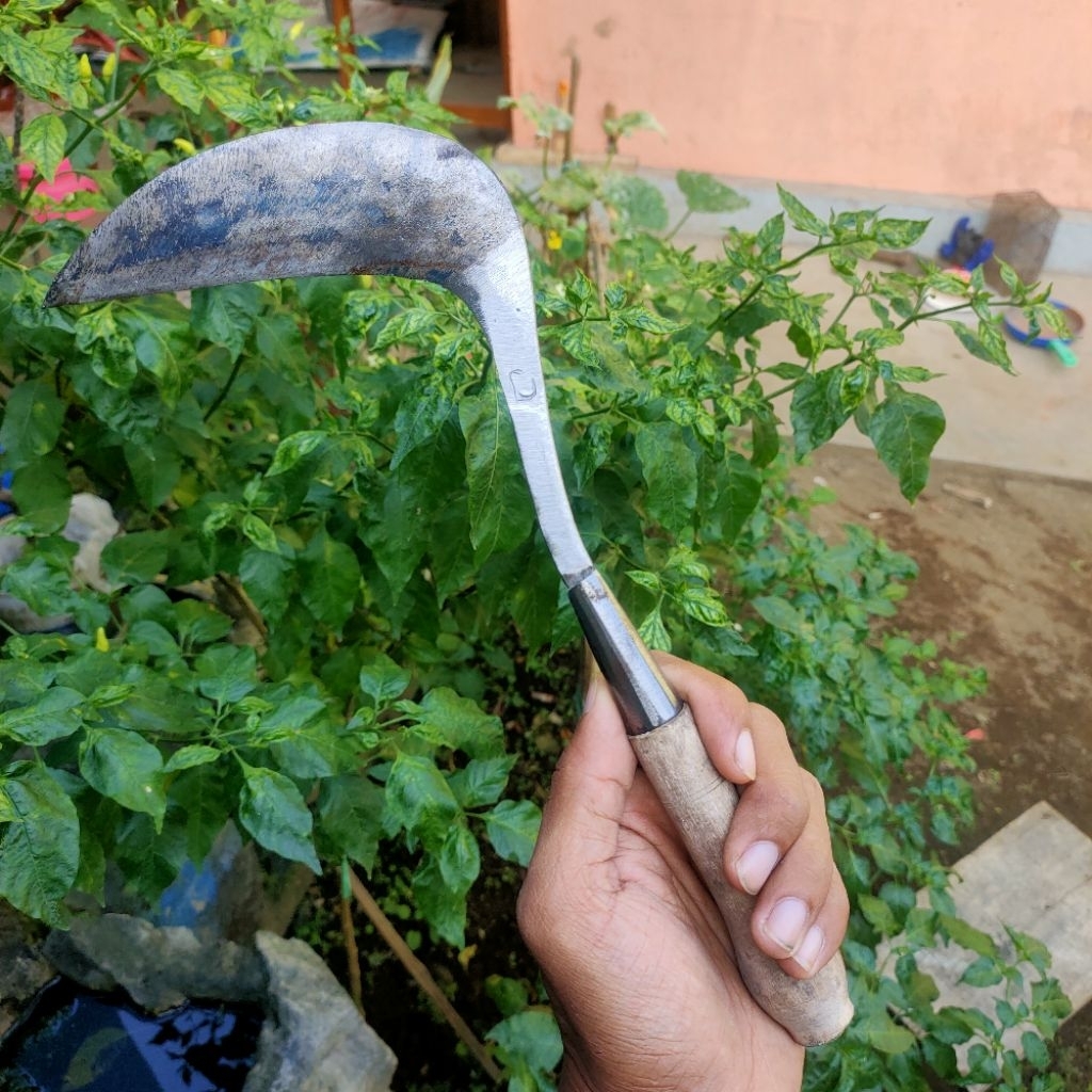 Sabit Mini Potong Rumput Baja Tajam Mudah Digunakan