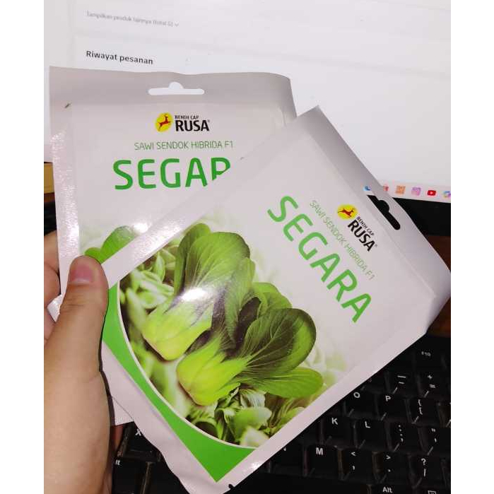 Benih Pakcoy Hibrida F1 SEGARA 50 Gram