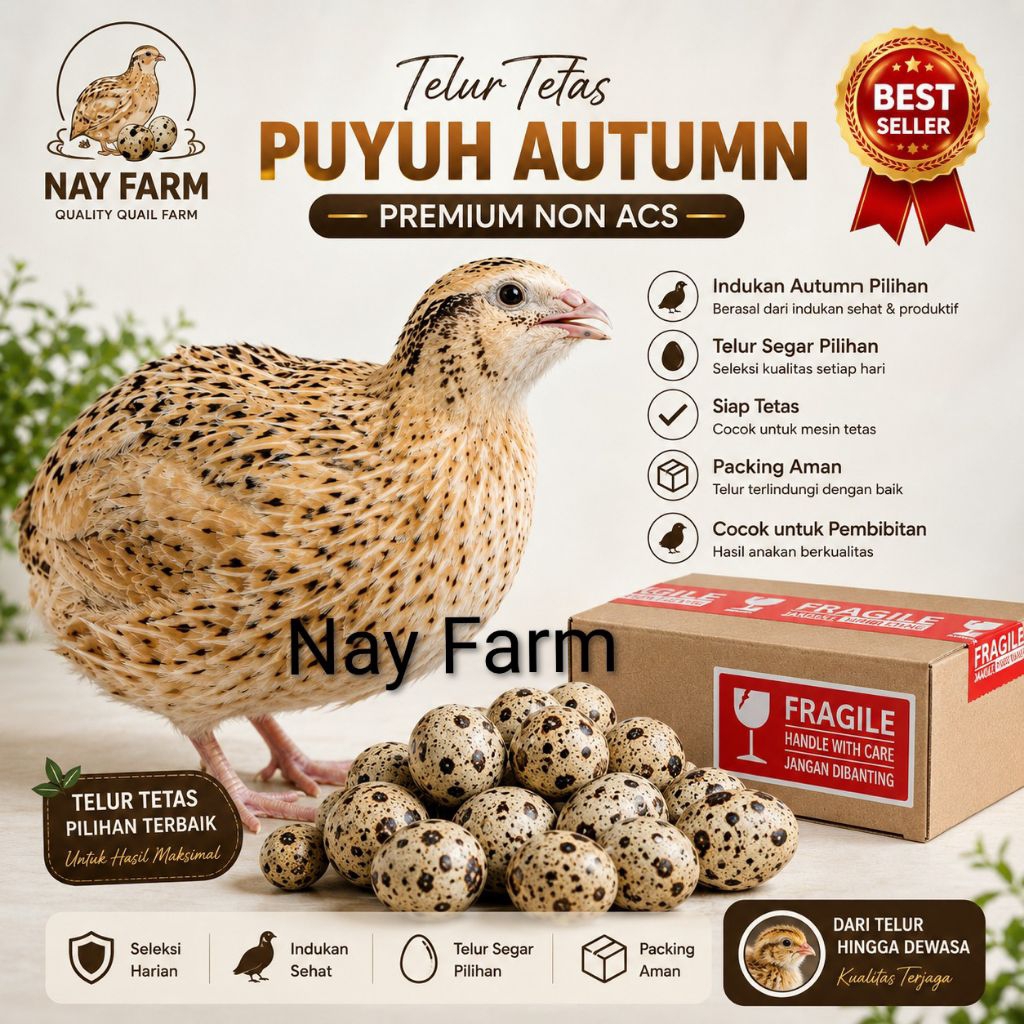 Telur Tetas Puyuh Autumn | Bibit Puyuh Unggul NayFarm
