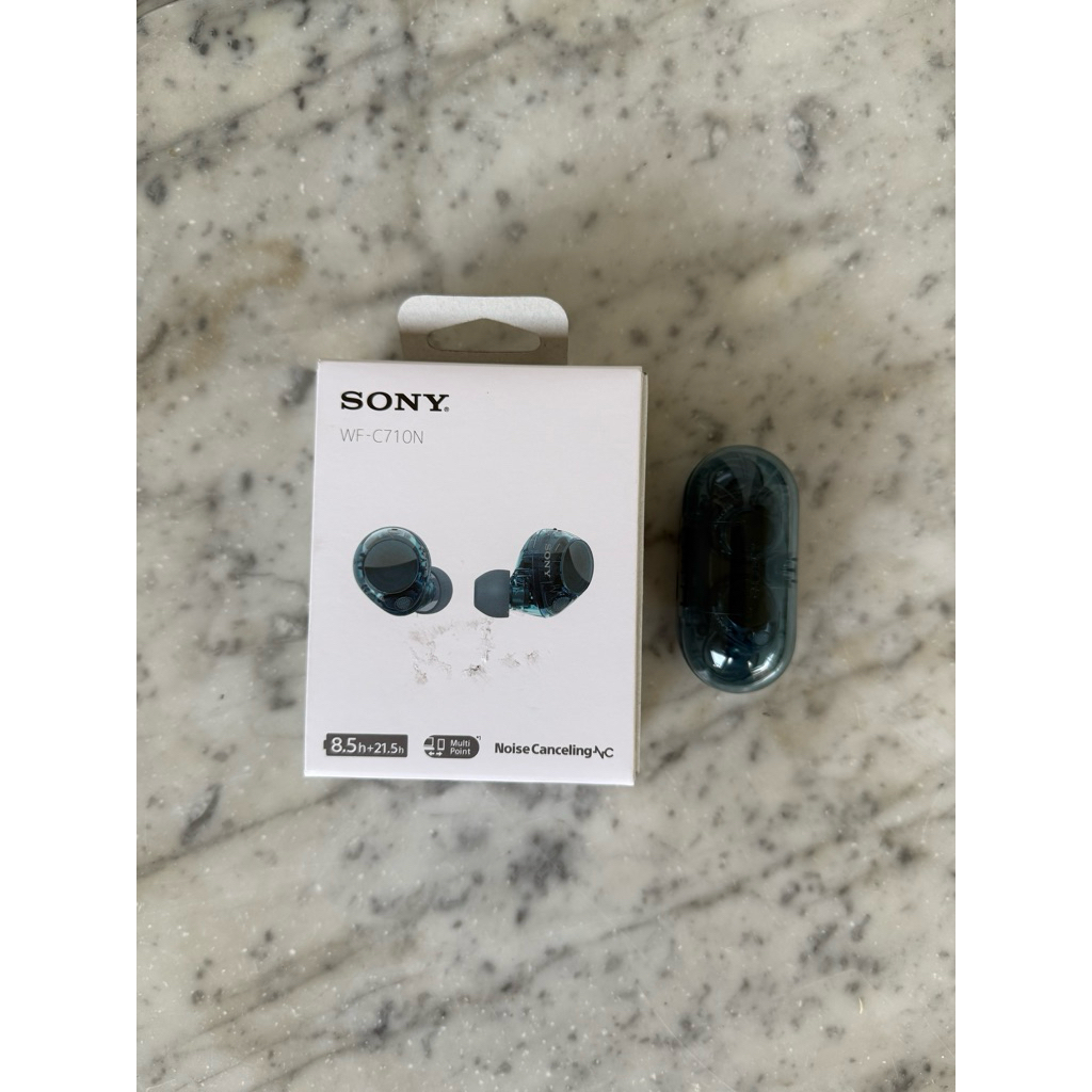TWS Sony