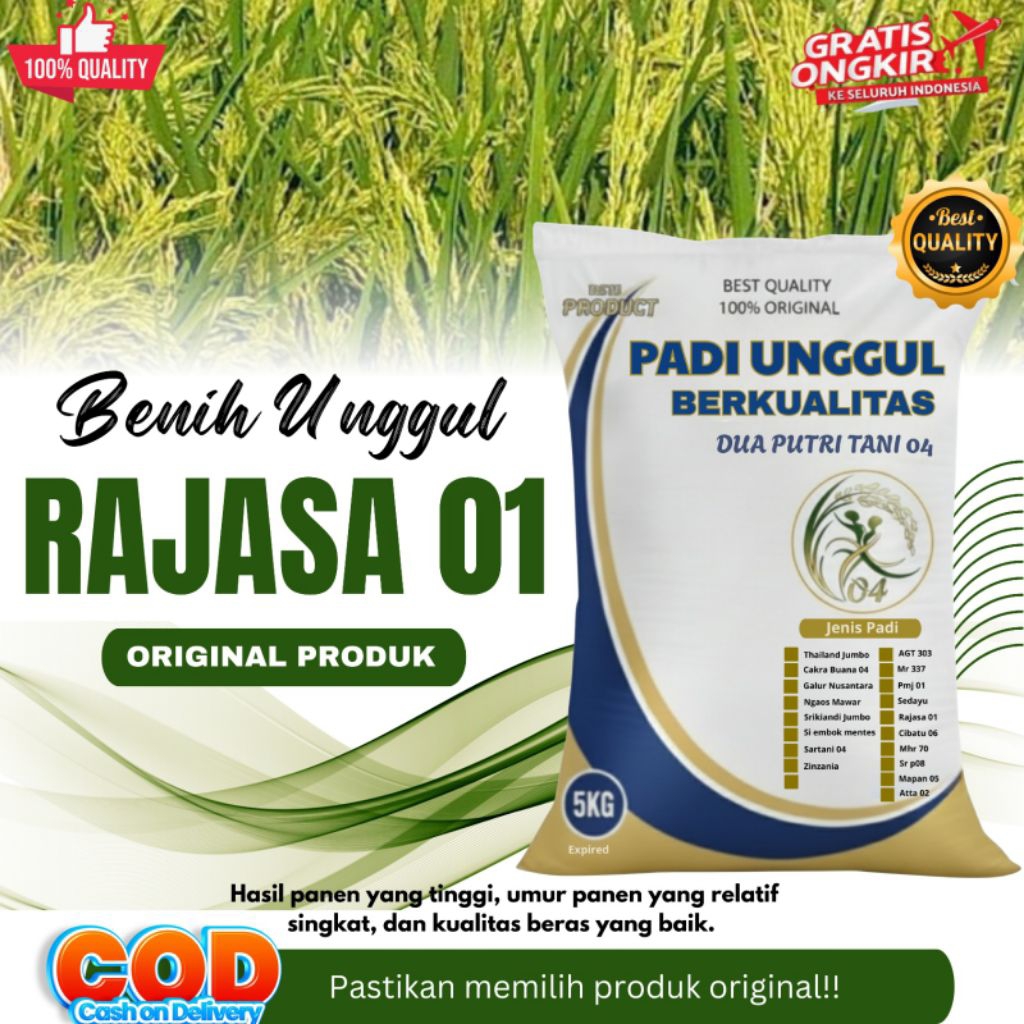 Bibit Padi Unggul RAJASA 01 Kemasan 5kg
