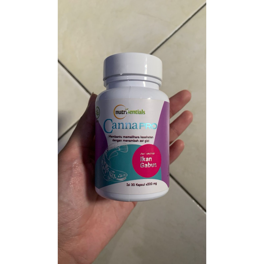 pl canna pro extra ikan gabus untuk penyembuhan luka sc