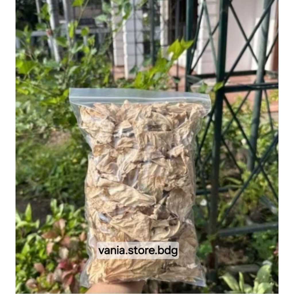 Daun Bunga Sepatu Atau Bunga Lentera Kering 50 gram Berkualitas