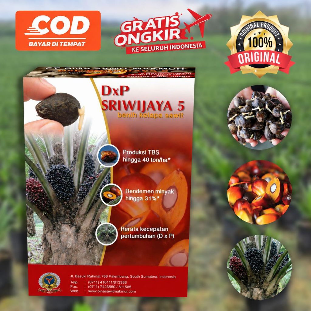 SRIWIJAYA DXP SJ5 SUPER UNGGULAN DAN BERSERTIFIKAT