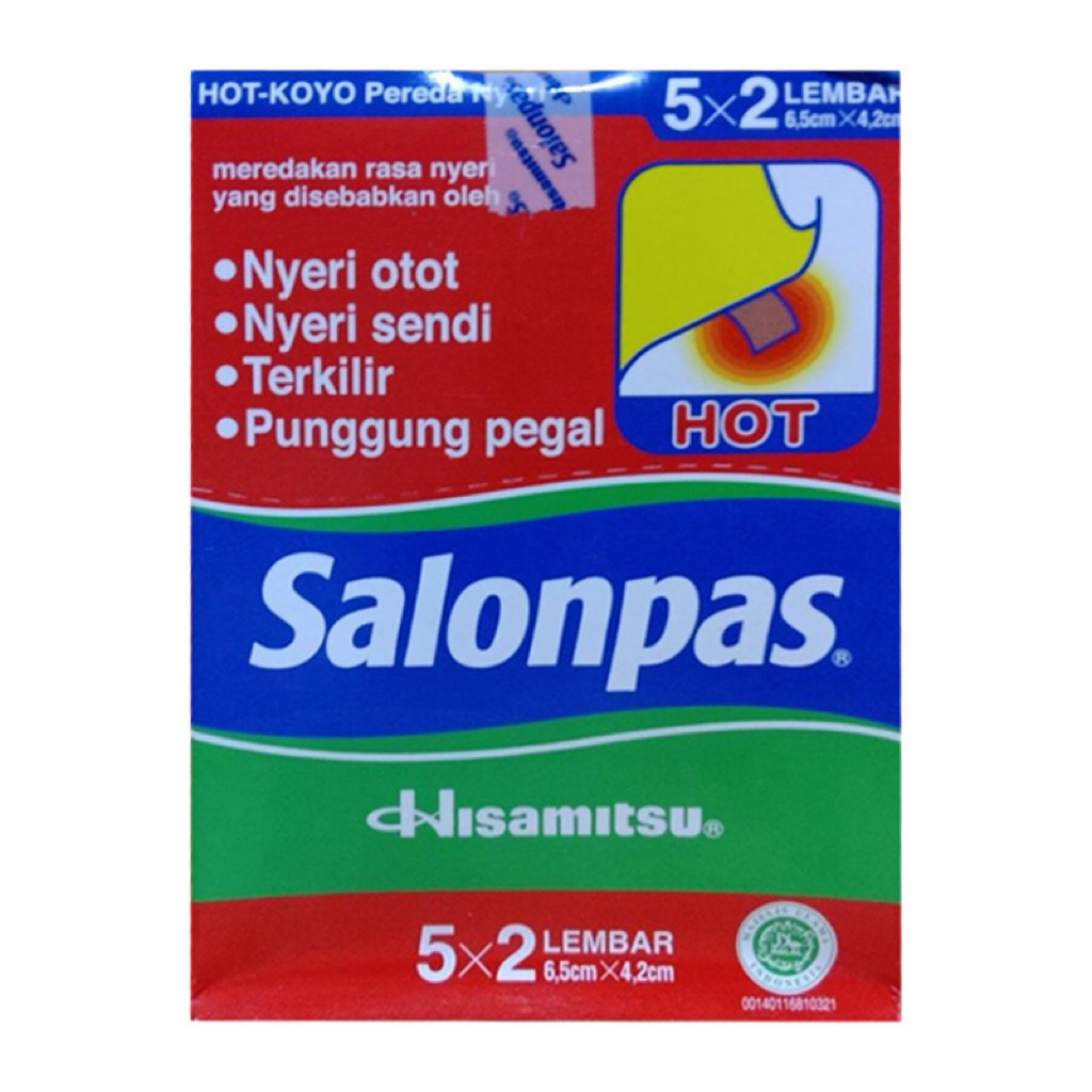 SALONPAS HOT KOYO BOX