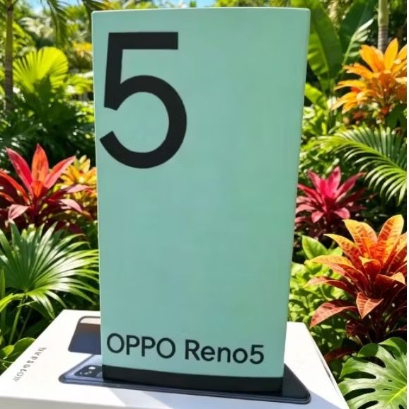 dus box oppo reno 5