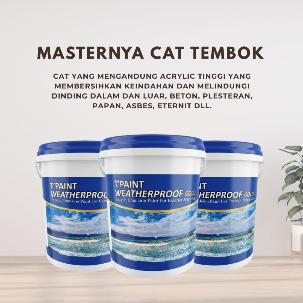 Cat Tembok Premium T'Paint Weatherproof 20 kg
