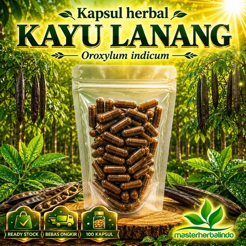 Kayu Lanang Kapsul Curah Herbal Isi 100 Kapsul 500 mg