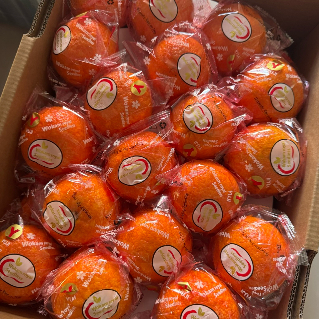 Jeruk Wokam Royal Mandarin Yuji Manis Banget