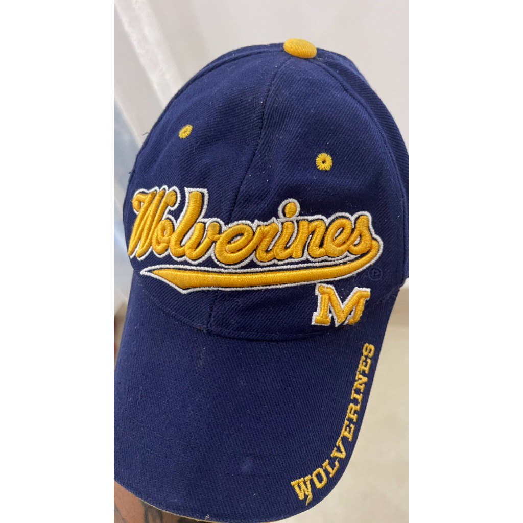 topi vinteg michigan wolverines