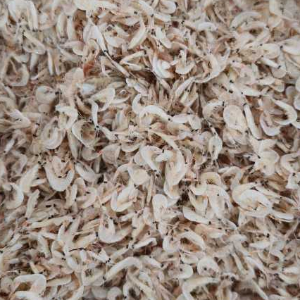 Udang Rebon / ikan asin rebon/udang rebon