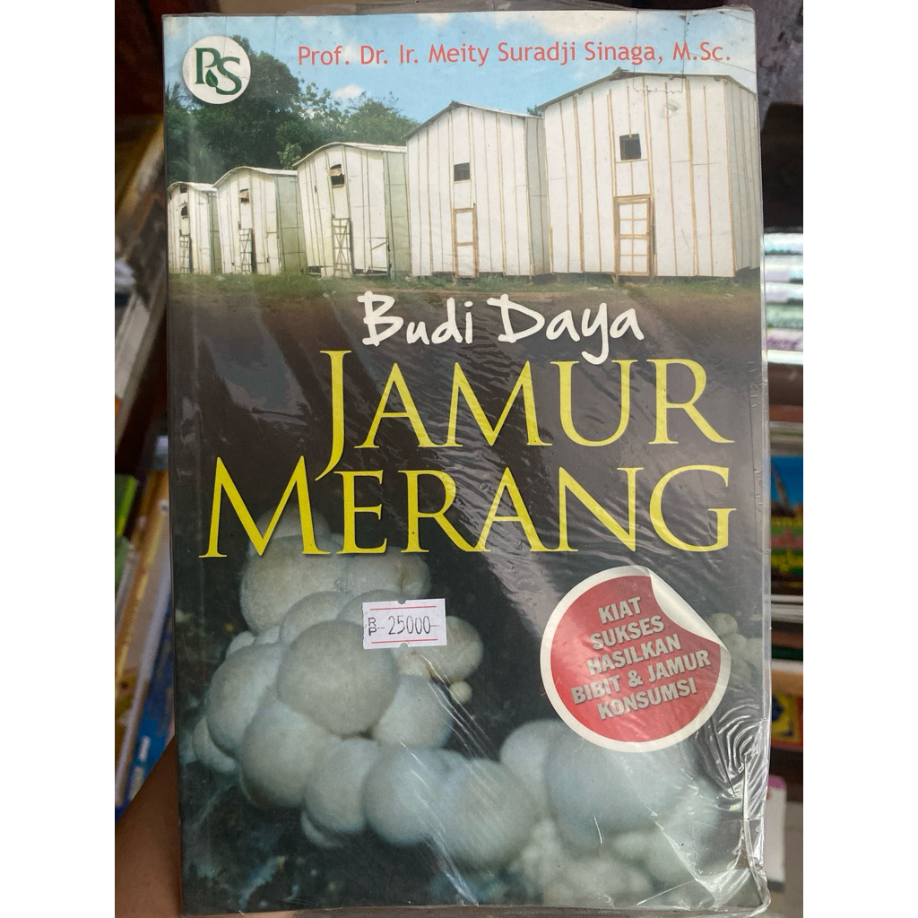 BUDIDAYA JAMUR MERANG