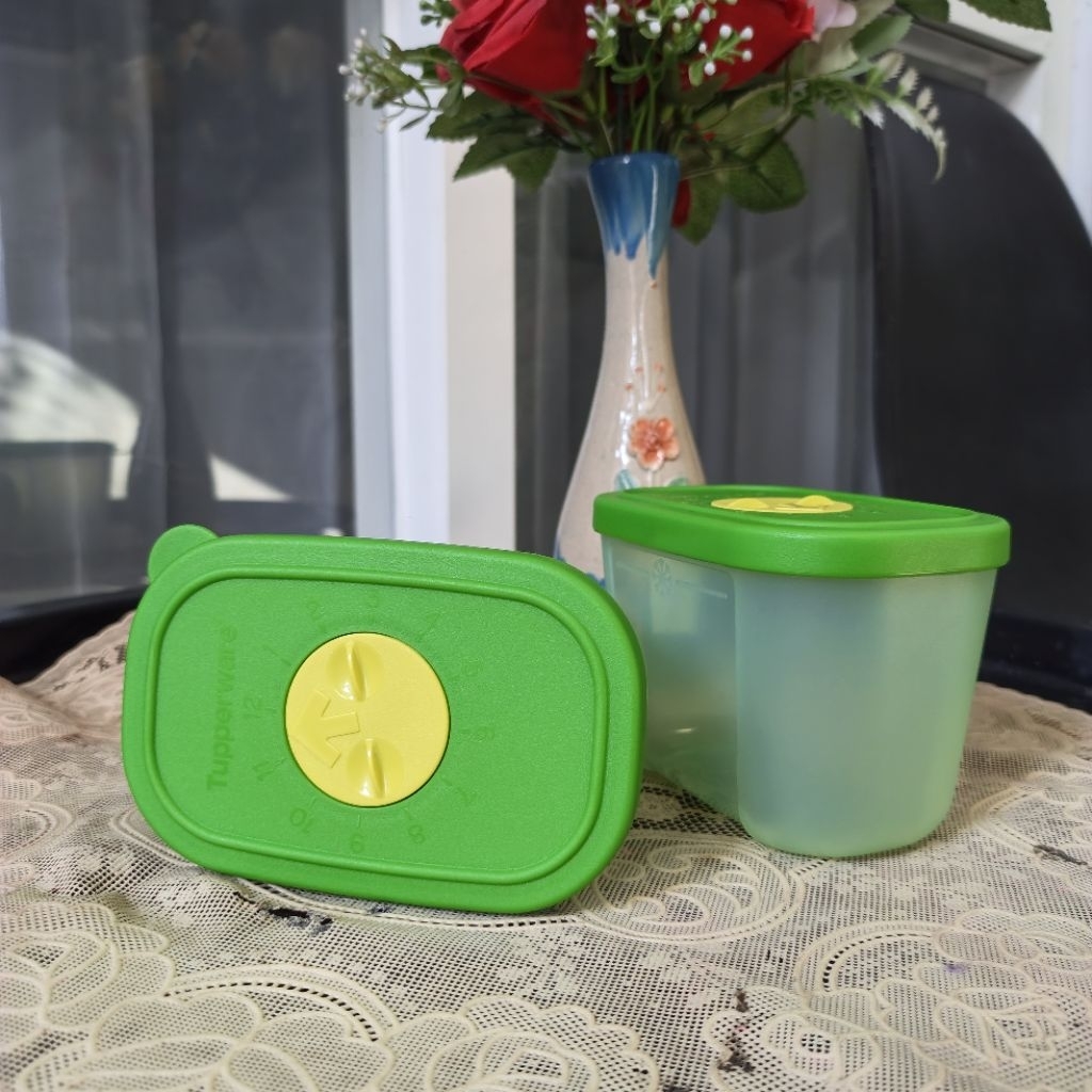 Tupperware Mini Freezermate (Ecer)