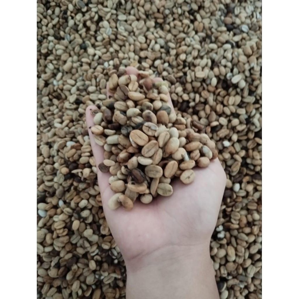 Kopi Arabika Kerinci Honey Asalan basic