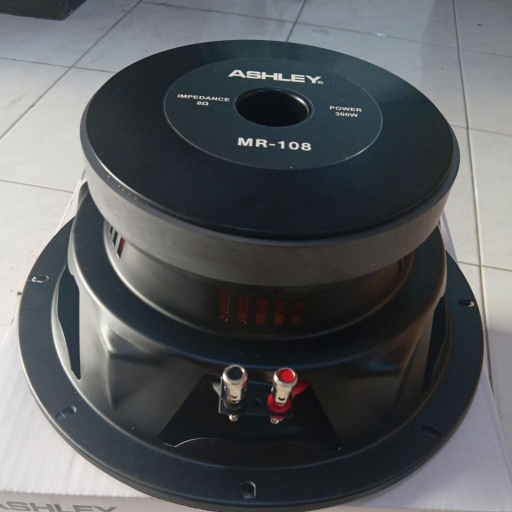 SPEAKER ASHLEY 10 INCH MR 108