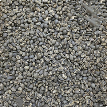Green Bean Gayo Semi Wash 1 Kg, Green Bean Gayo Rembele 1kg