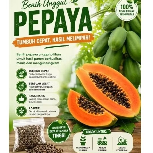Benih Bibit Pepaya California Kalina Unggulan