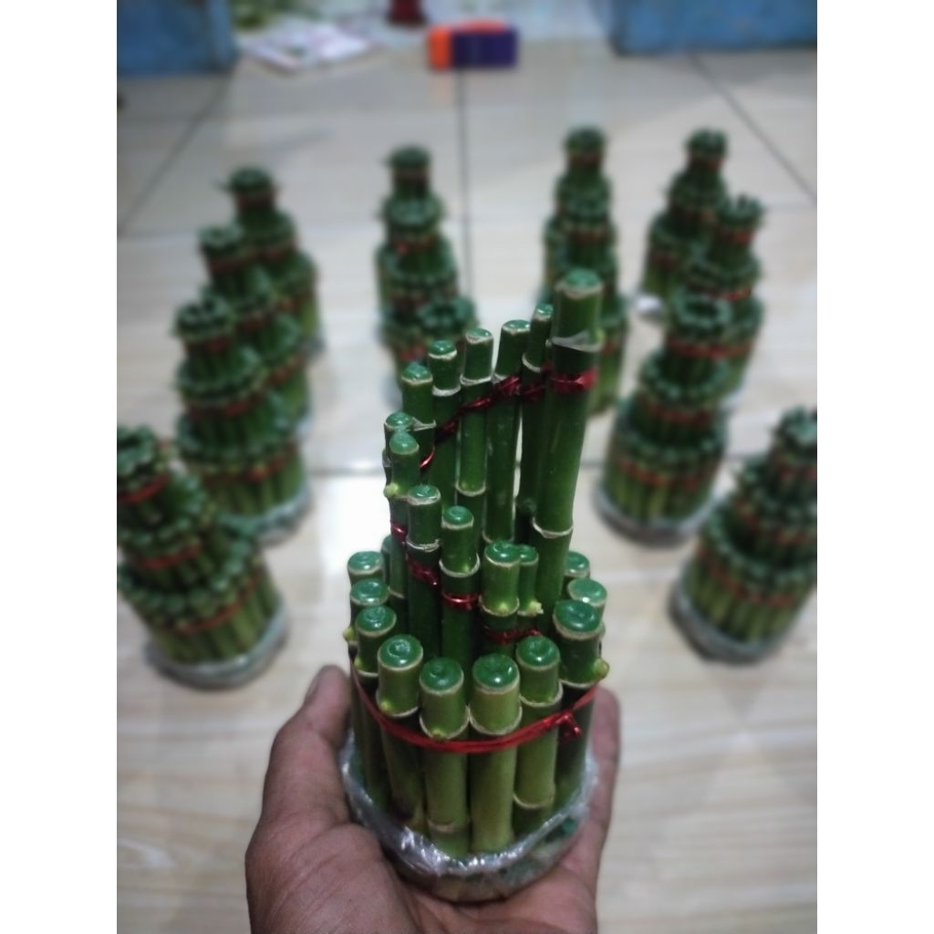 bambu hoki model spiral