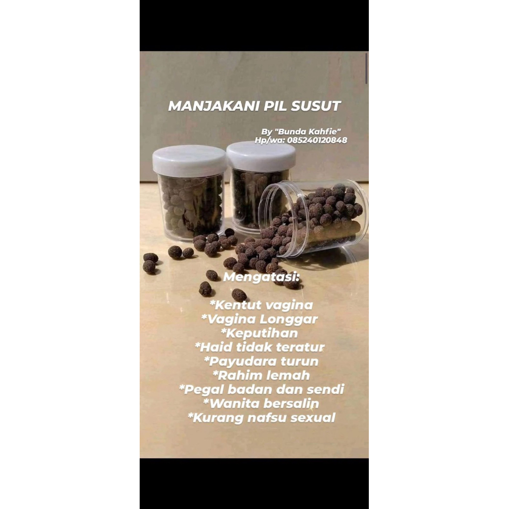 Manjakani pil jamu kewanitaan jamu tradisional