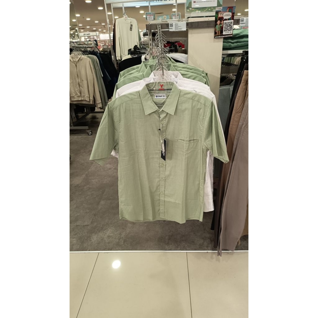 Kemeja Sage Green