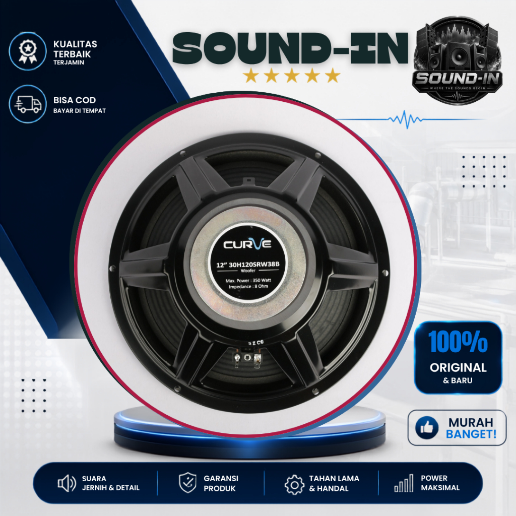 Speaker Curve 12 Inch Woofer 30H12 SRW38B 30H12SRW38B