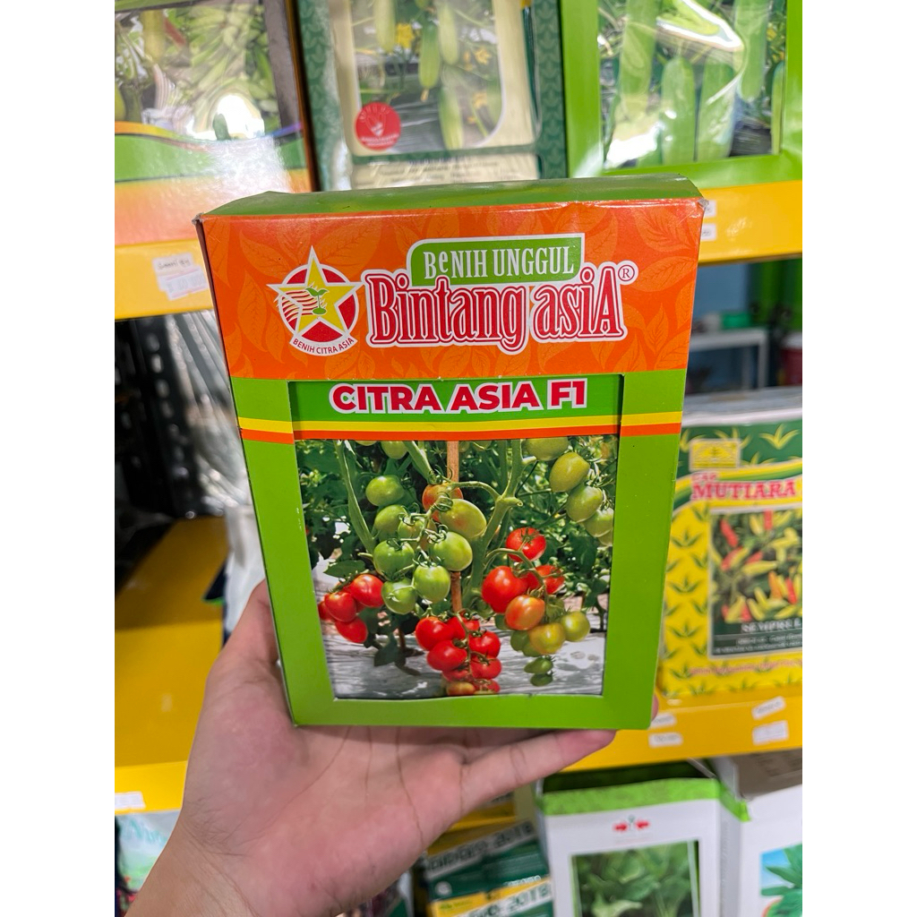 Benih Unggul Benih Tomat Citra Asia Merk Bintang Asia