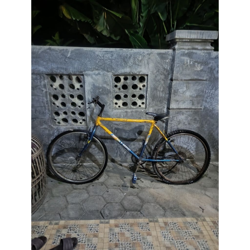 sepeda olympic size 19 ban 26