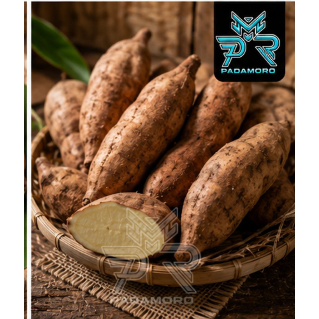 Ubi Cilembu Asli Padamoro 1 Kg Ubi Madu Cilembu Manis Alami Cocok Panggang Kukus Rebus
