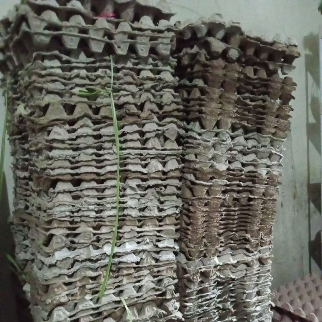 Rak telur Bekas