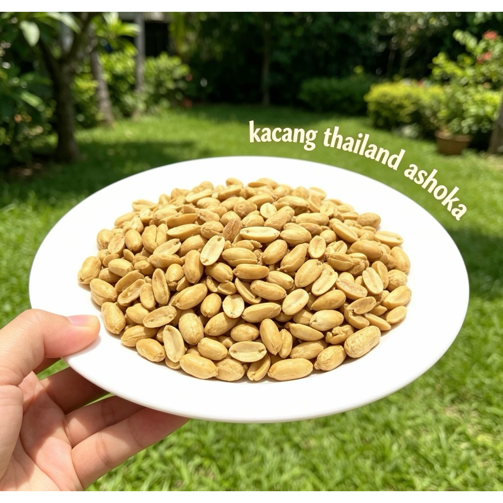 Kacang Bawang Thailand Ashoka Super