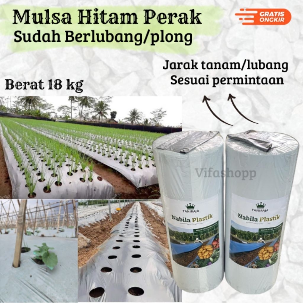 Mulsa Plong/Lubang Mulsa Hitam Perak  Nabila Plastik Lebar 80cm/100cm/120cm