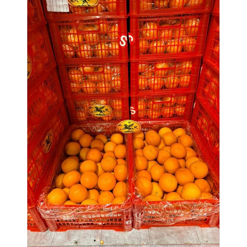 Jeruk Wogan Mandarin 1 keranjang 6 kg