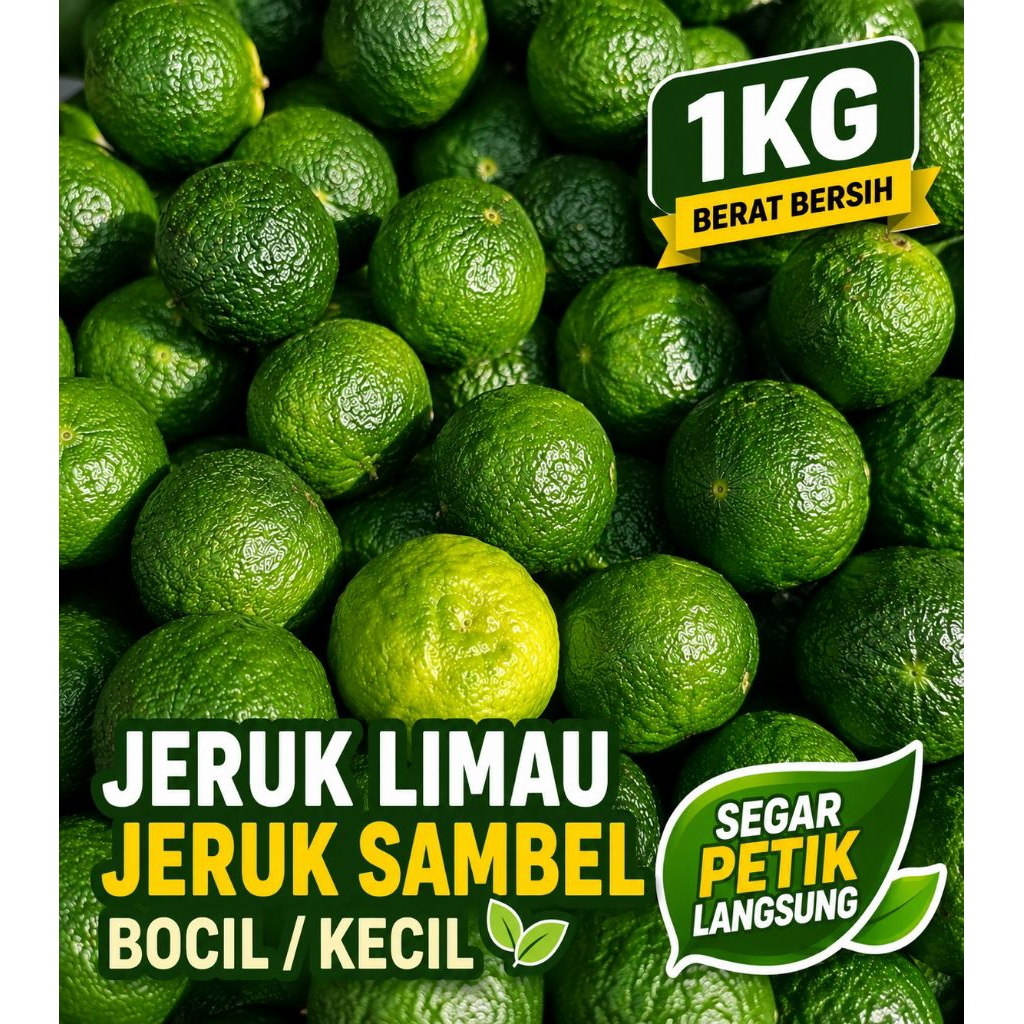 jeruk limo jeruk sambel jeruk limau organik segar dari petani boci kecil 1kg