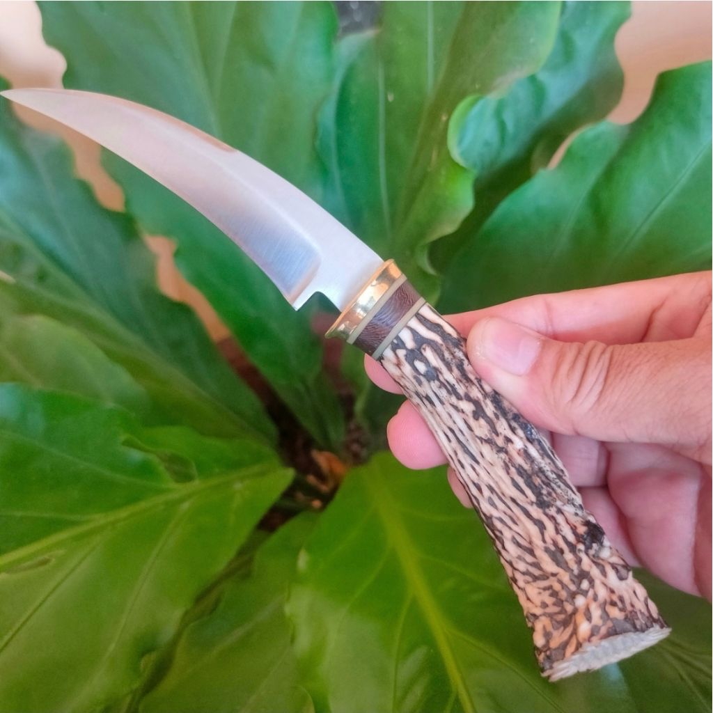 M2 Kuku Bima  knife,  Pisau daging super tajam berbahan baja M2 dengan handle tanduk rusa. Kuat, nya