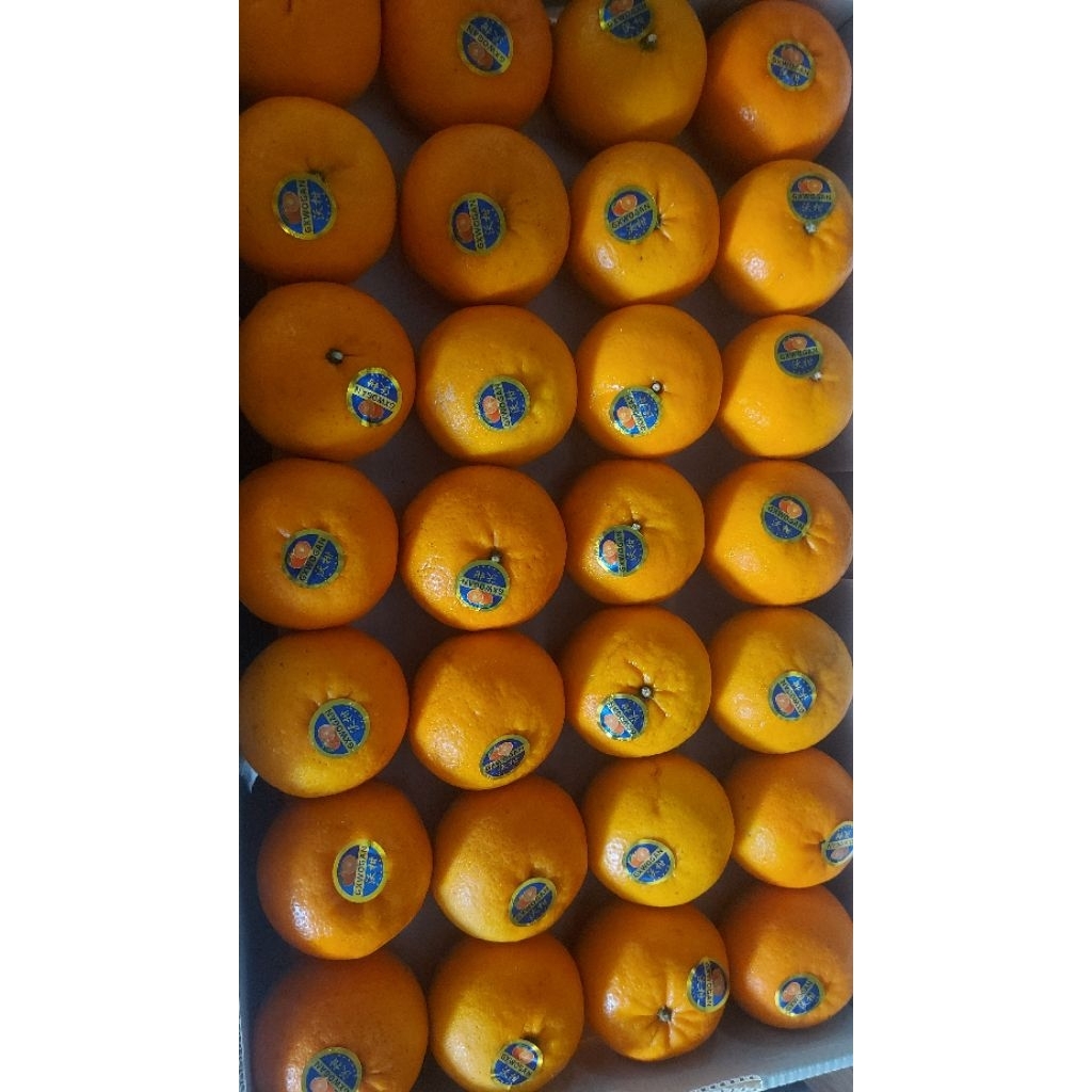 jeruk MANDARIN 1kg