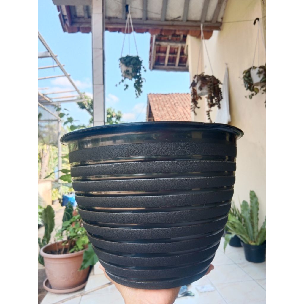 pot tawon 30cm