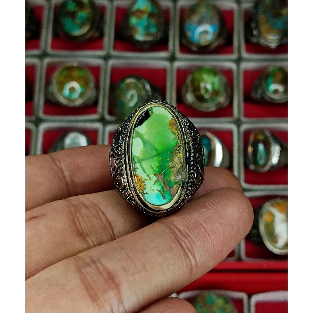 pirus Persia ijo kedondong