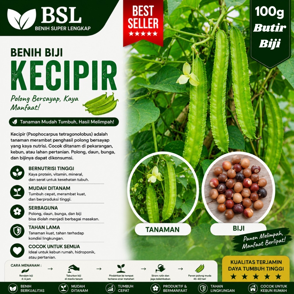 ( 100 Gram ) Benih Biji Sayuran Kecipir Lalap | Kecipir Sayur | Kecipir Hijau | UKI BIBIT