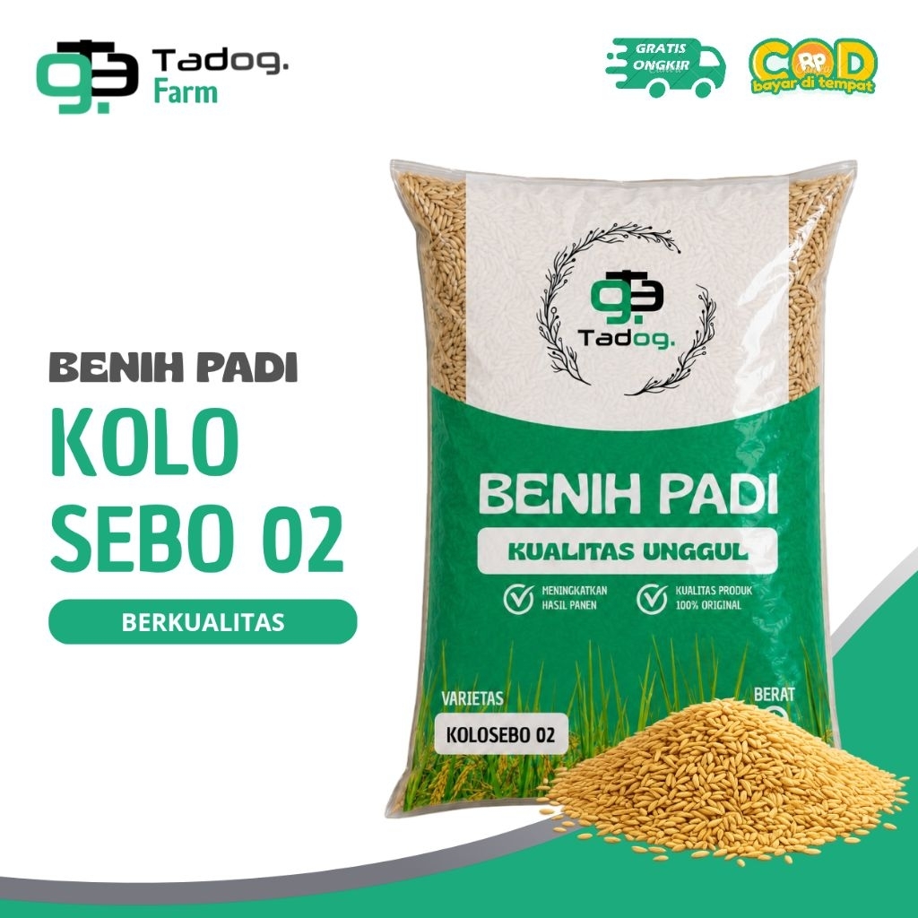 Benih Padi Kolosebo 02 Original 5kg Berkualitas