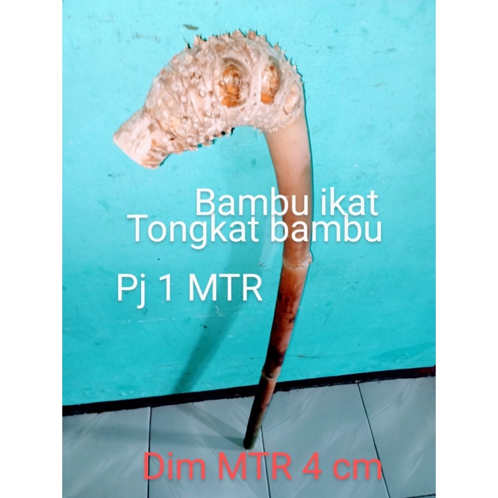tongkat bambu koleksi unik alami asli bambu ikat
