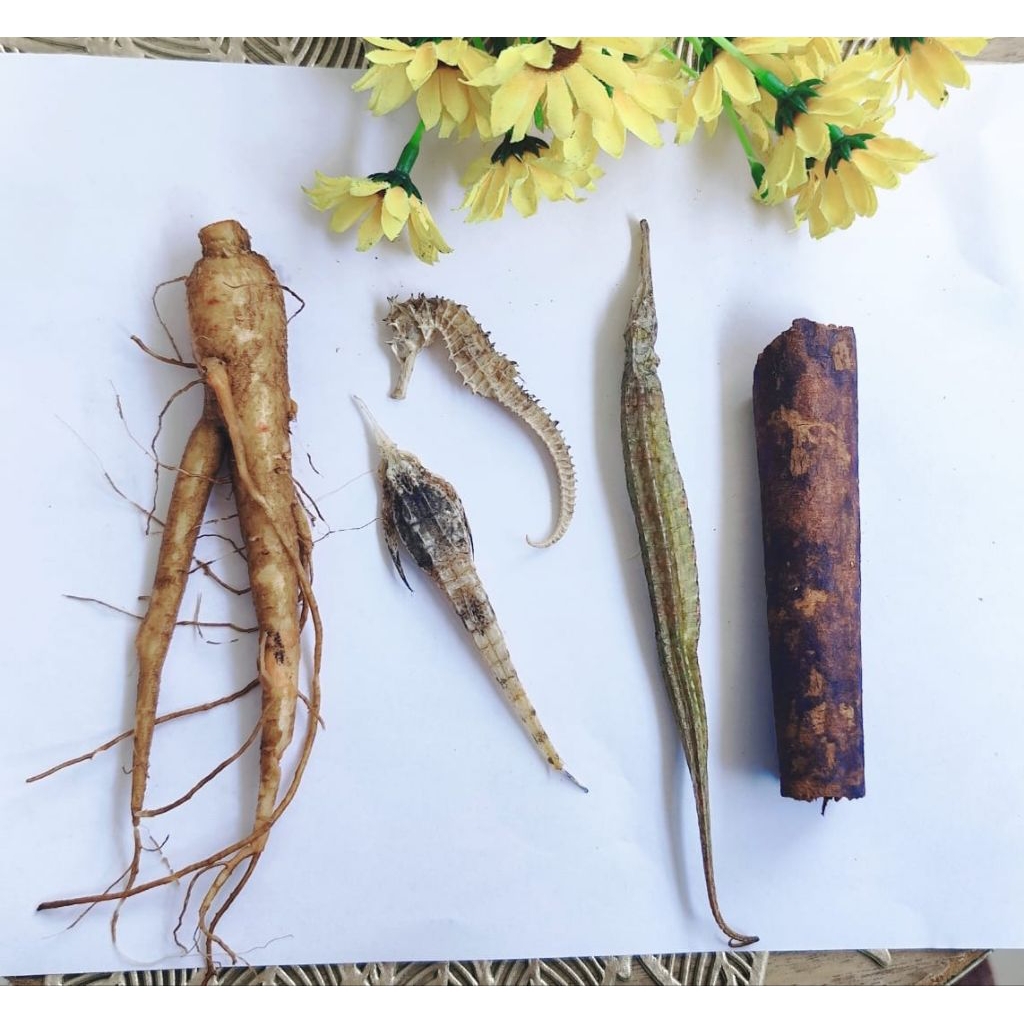PAKET LENGKAP (GINSENG ,KL,BL,NL,KAYU AKWAY PAPUA)