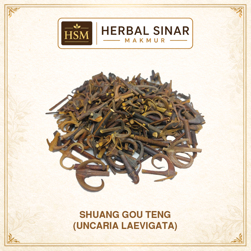 Shuang Guo Teng / Batang Uncaria / Uncaria Laevigata - Herbal Penenang Saraf & Darah Tinggi - HSM